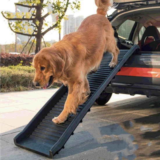 Non-slip Plastic Pet Folding Ladder and Slope Stairs